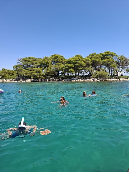 Picture 3 for Activity Pašman: Private Snorkeling Boat Tour with Prosecco 3