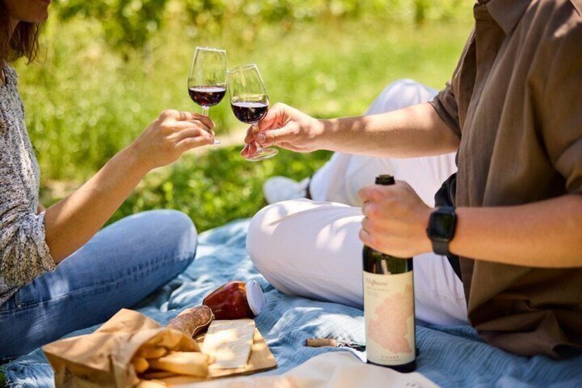 Picnic in Monferrato 1