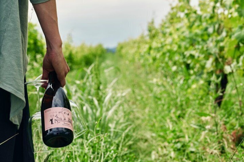 Picnic in Monferrato 3