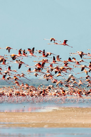 Essence of Guajira: 4 days and 3 nights in Alta and Media Guajira 1