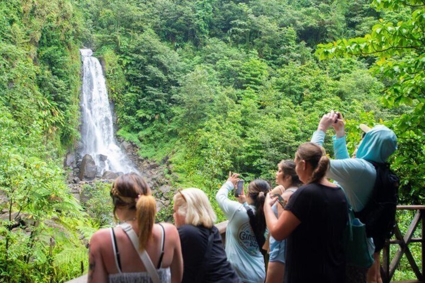 A waterfall surrounded by lush greenery, with people observing and taking photos. 3