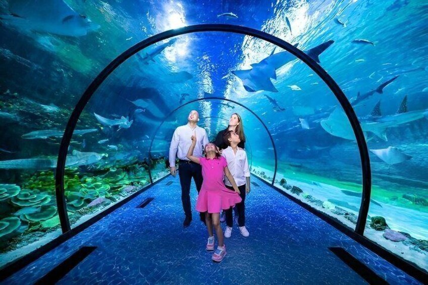 Abu Dhabi National Aquarium Entry Ticket 1