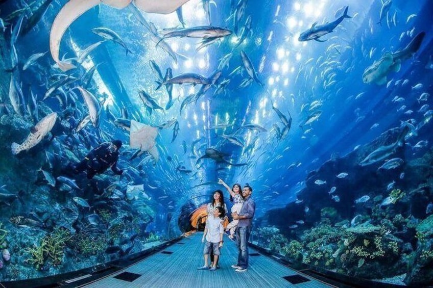 An aquarium with a large tunnel, various fish species, and a few people observing. 5