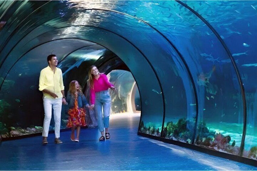 A tunnel with an aquarium on one side. 2