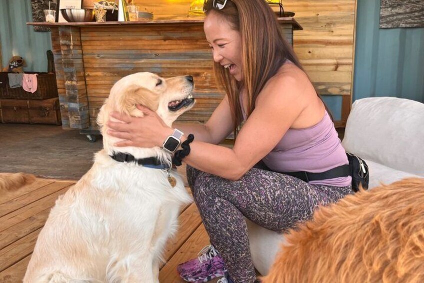 Golden Retriever Retreat in Joshua Tree, CA 2