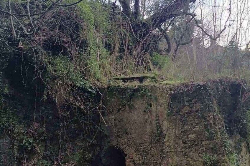 A stone bridge with moss and vegetation overgrown on its edges. 3