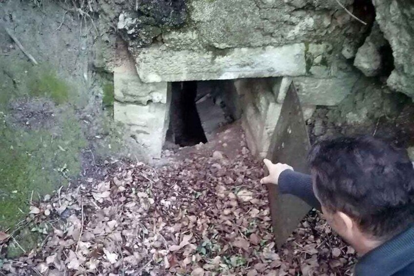 A person pointing towards a cave entrance surrounded by foliage. 4