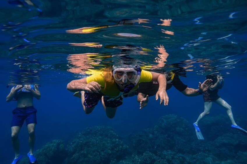 A person underwater with a snorkel and fins, surrounded by clear blue water and marine life. 3