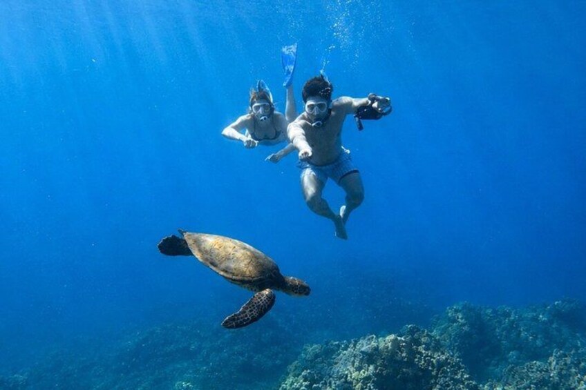 Two people snorkeling underwater with a sea turtle. 5
