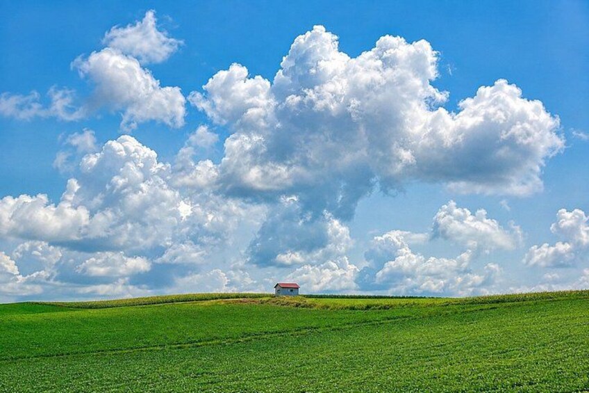 A green field with a red-roofed building on a hill under a blue sky with clouds. 3