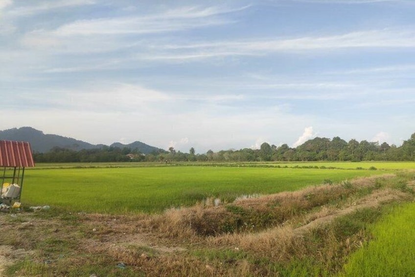 A green field with a red structure in the foreground and a line of trees in the background. 4