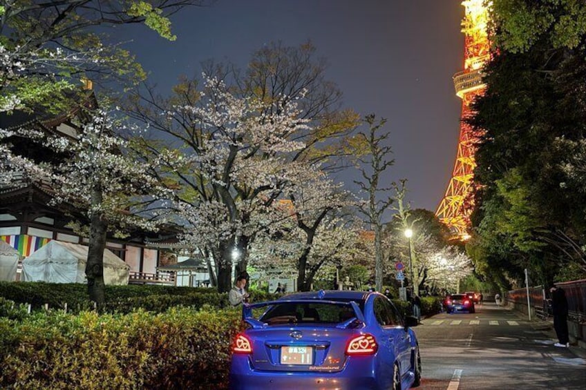 A car parked on a tree-lined street at night with cherry blossoms and a lit tower in the background. 5