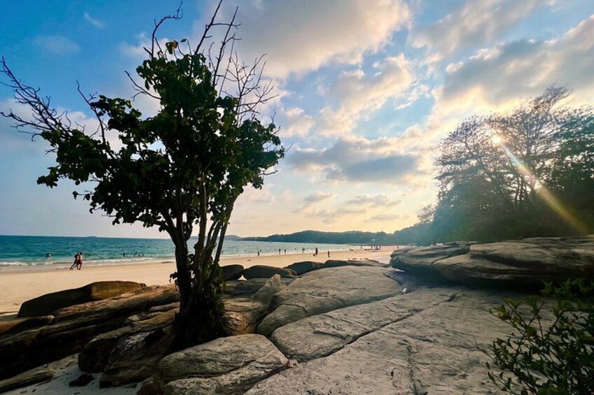 A beach with large rocks, a tree, and the ocean in the background. 4