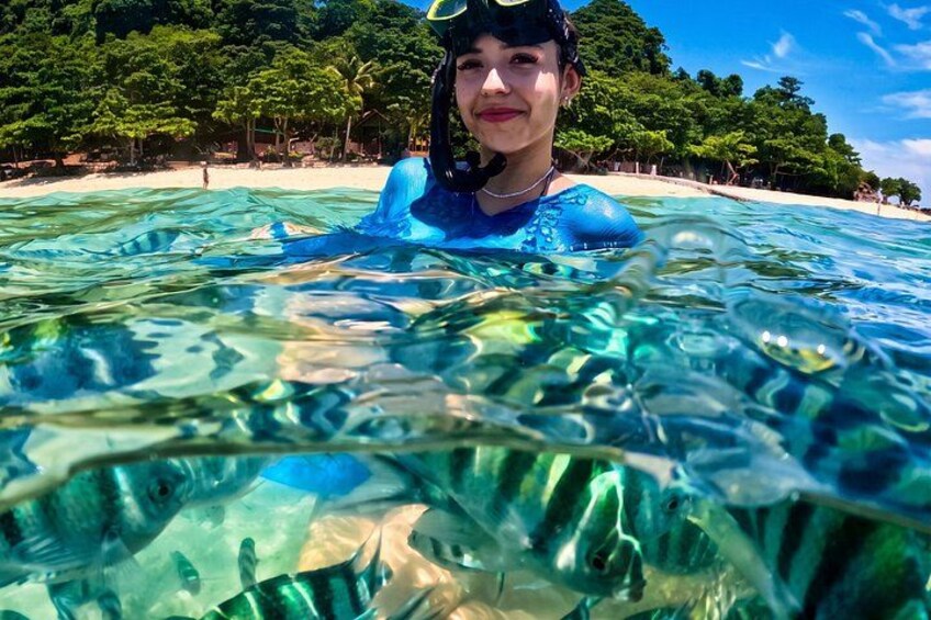 A person swimming in clear tropical waters with a beach and lush greenery in the background. 3