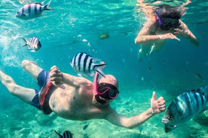 Two people snorkeling underwater with fish around them. 2