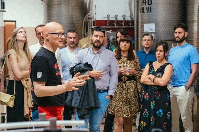 Wine and Olive Oil Tasting and The Essence of Umbria 3