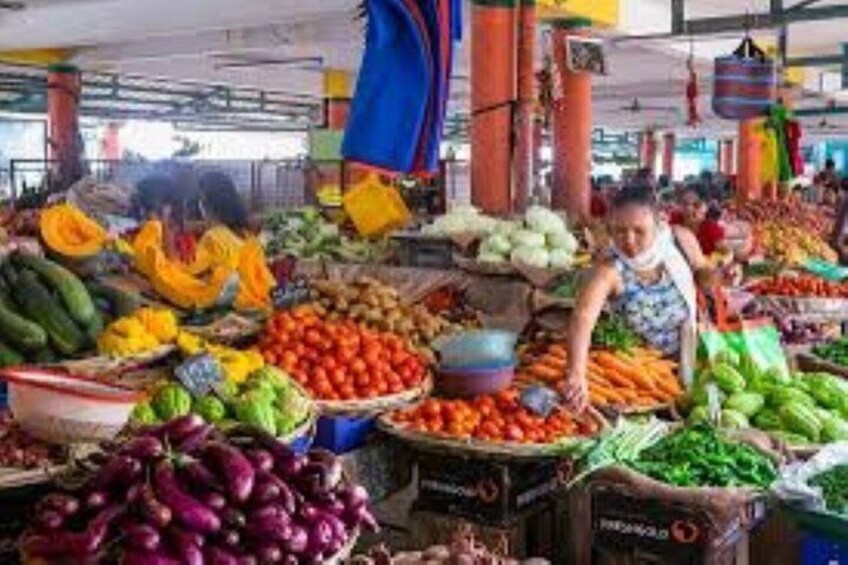 Grand Baie Private and Exclusive Street Food Tour and Sightseeing 3