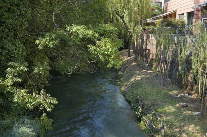 Treviso Private Tour Custom Experience with Local Guide 5