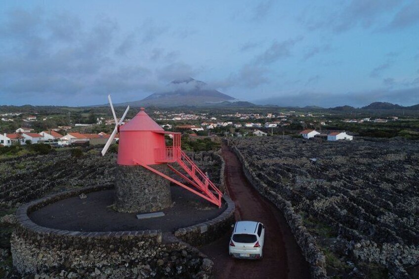 Pico Island Private Wine Tour with Tastings 5