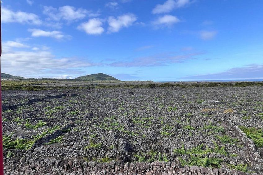 A volcanic landscape with a clear sky and distant hills. 2