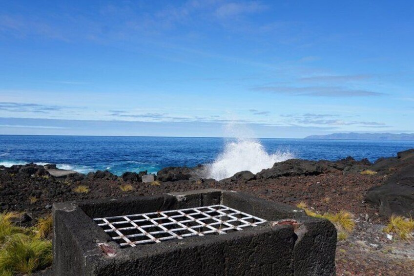 Pico Island Private Wine Tour with Tastings 4