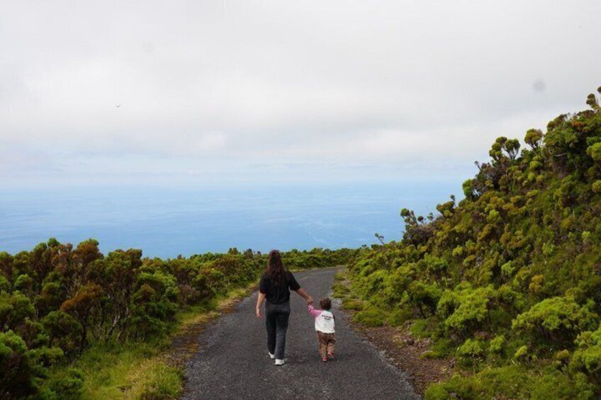 Private Pico Island tour 3