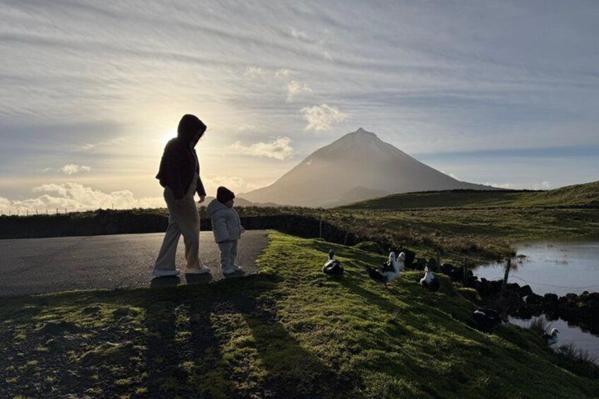 Private Pico Island tour 1