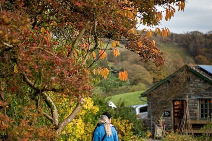 Rail & Road Tour of the Lake District from Glasgow 3