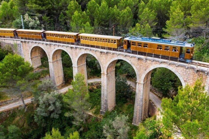 A train on a stone bridge surrounded by greenery. 1