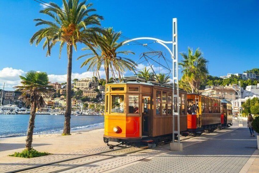 A tram on a seaside track with palm trees and a coastal town in the background. 5
