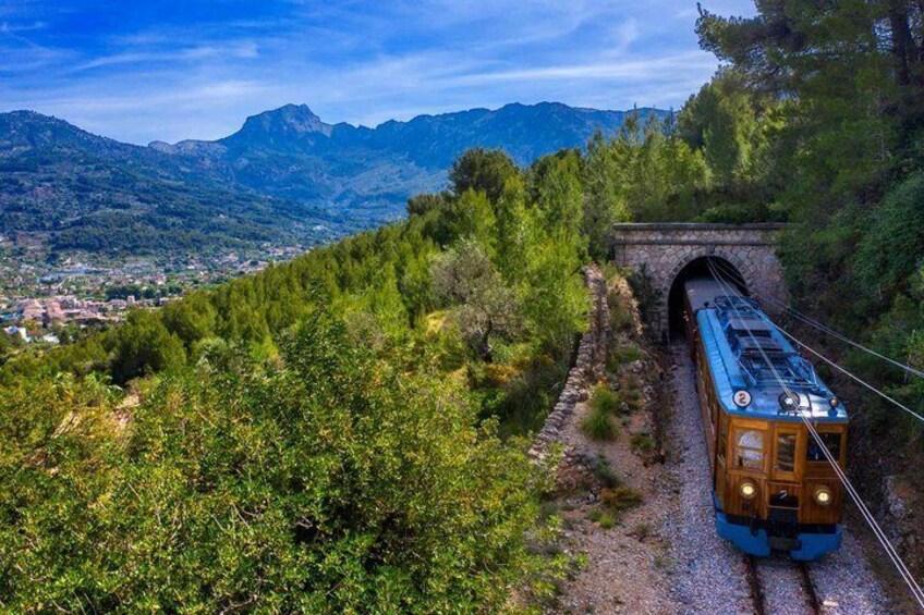 A train traveling through a tunnel surrounded by lush greenery and mountains. 3
