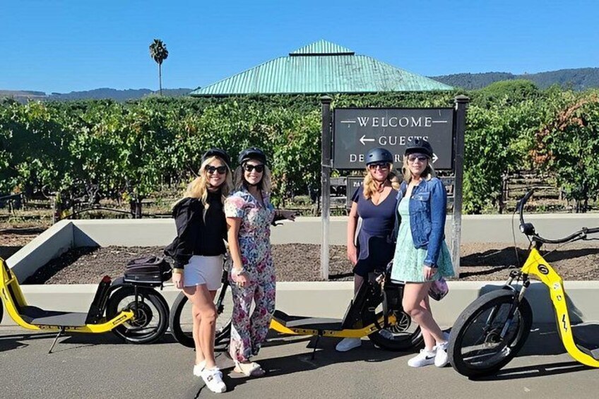 Napa Valley Wine Tasting E-Bike Tour 5