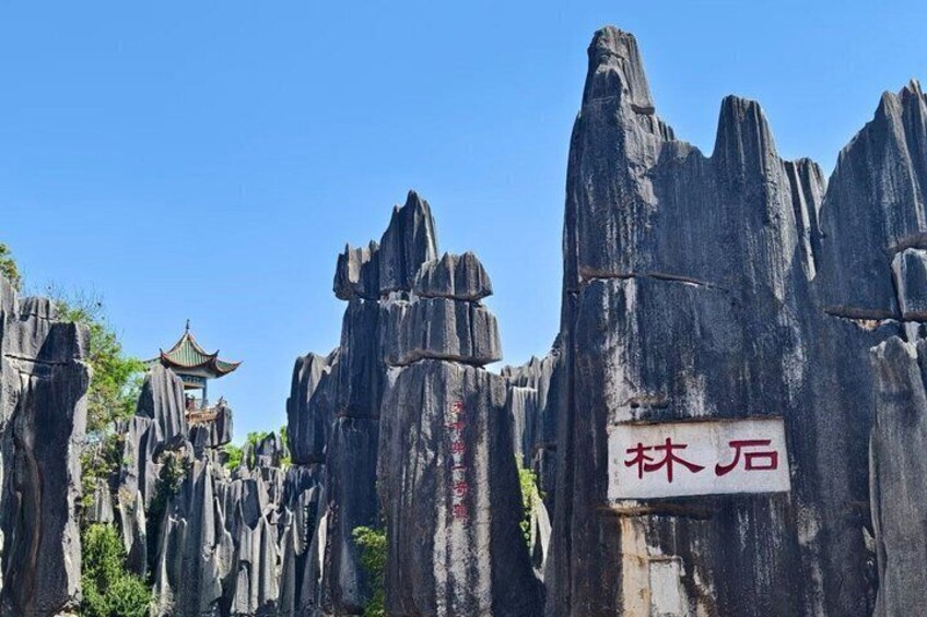 9 Days Private Tour from Kunming to Shangri La with Breakfast 1