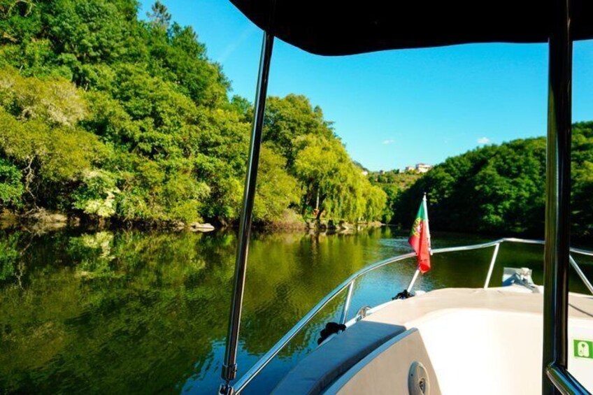 Pala Douro Valley River Cruise with Sparkling Wine 3