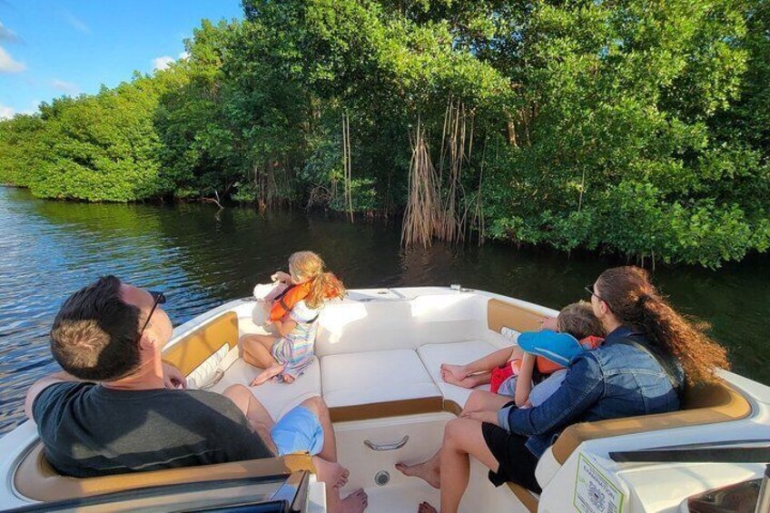 Luxury Boat Adventure to Three City Mangroves and Coastal Reefs 2