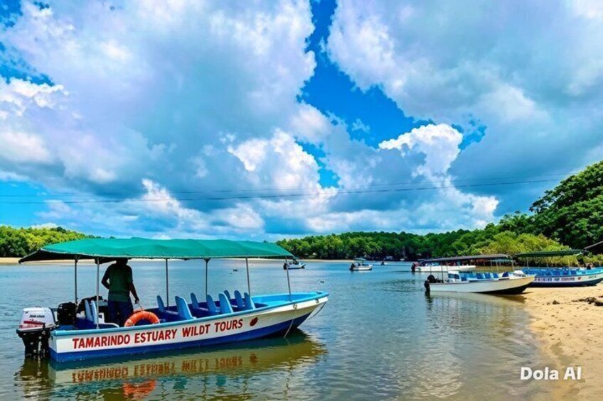 Tamarindo Mangrove Guided Boat Tour in Las Baulas National Park 1