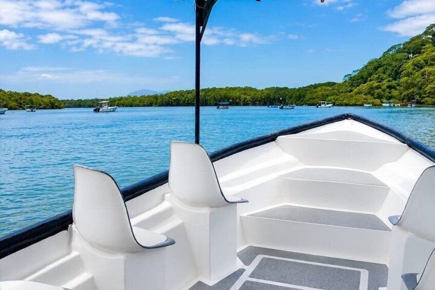 Tamarindo Mangrove Guided Boat Tour in Las Baulas National Park 2