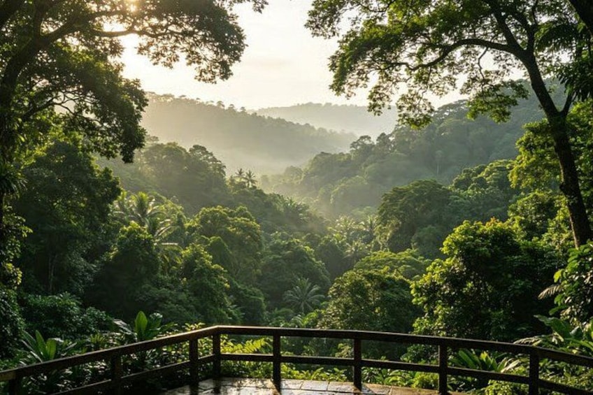 A lush green landscape with a wooden bridge and dense foliage. 4