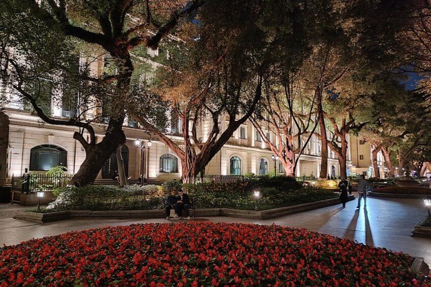 A nighttime scene with a large tree-lined pathway, a flower bed with red flowers, and classical architecture. 2