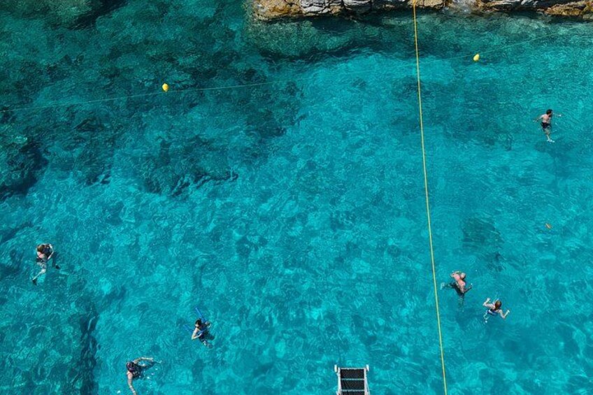 A group of people swimming in clear blue water with a rope. 4