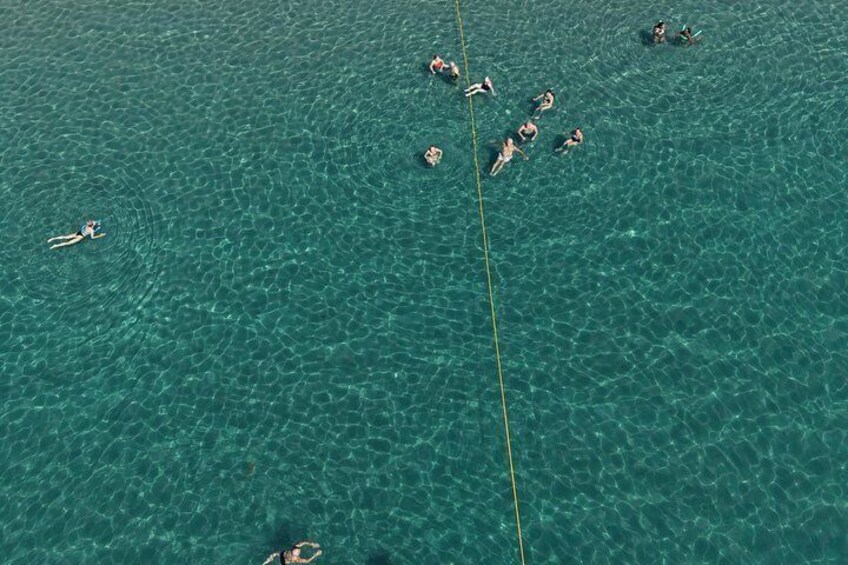 A group of people swimming in a clear blue sea. 5