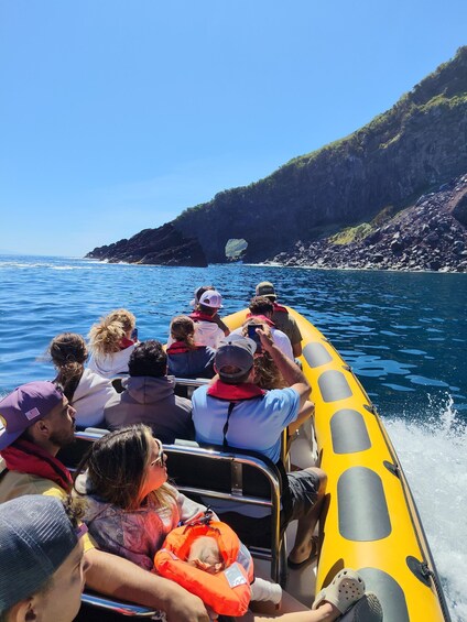 Picture 7 for Activity São Jorge: Island Tour by Boat (with waterfalls, caves and fajãs) 3