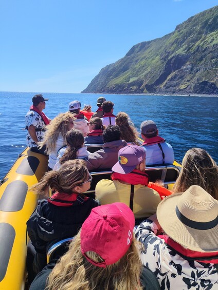 Picture 6 for Activity São Jorge: Island Tour by Boat (with waterfalls, caves and fajãs) 4
