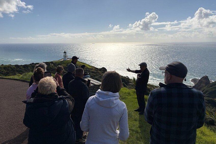 Ka Uri Experience Cape Reinga and Ninety Mile Beach Tour 2