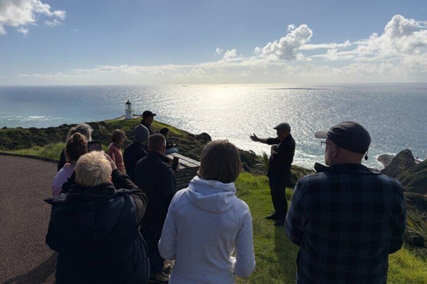 Ka Uri Experience Cape Reinga and Ninety Mile Beach Tour 2