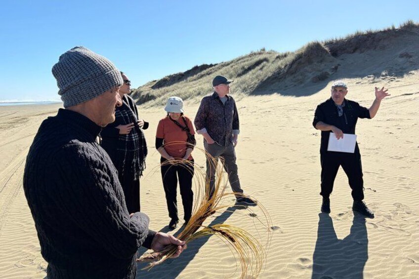 Ka Uri Experience Cape Reinga and Ninety Mile Beach Tour 5