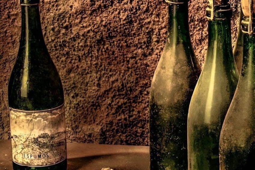 Penedès Wine Corpinnat and Cava Tour Exclusive Wine Experience 5