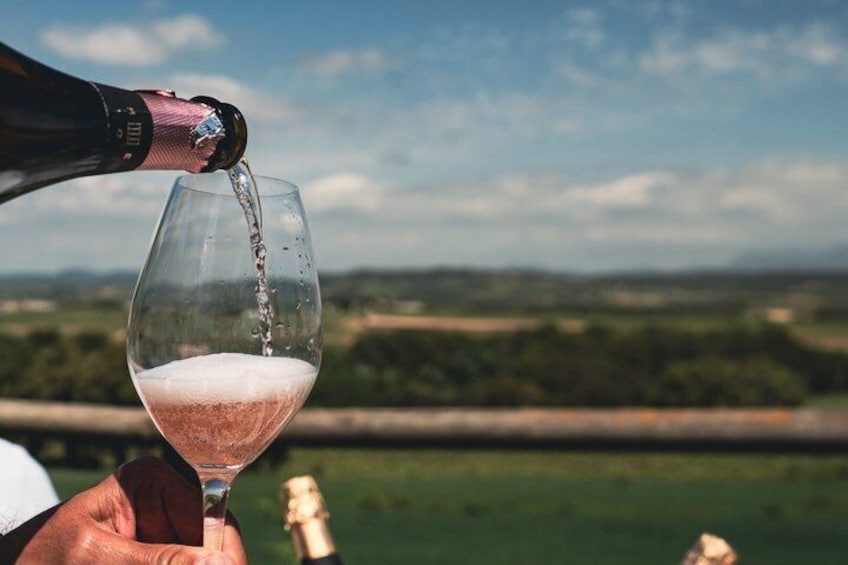 A person pouring champagne into a glass. 2