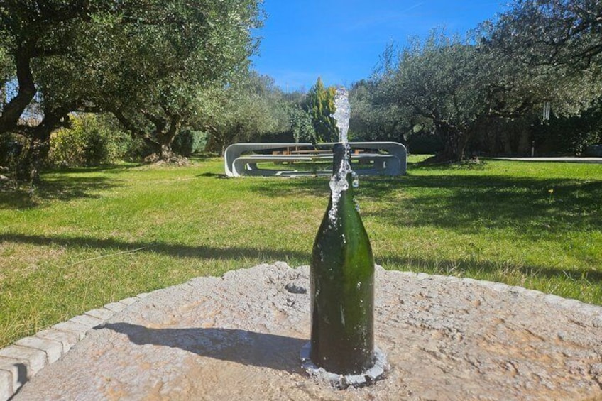 Penedès Wine Corpinnat and Cava Tour Exclusive Wine Experience 3