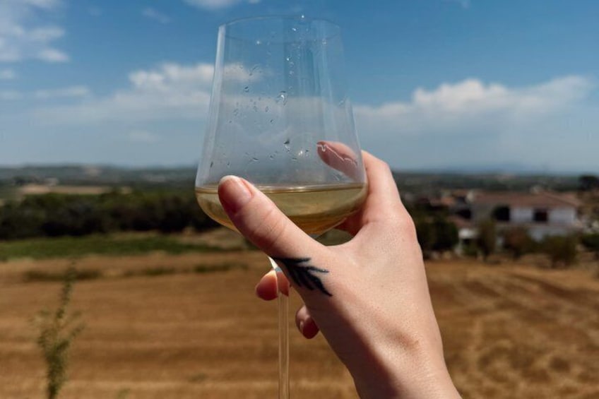 Penedès Wine Corpinnat and Cava Tour Exclusive Wine Experience 1